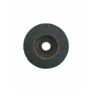 DISQUE A LAMELLE BOMBE DLZ ZIRCON D.125X22 - Finitech
