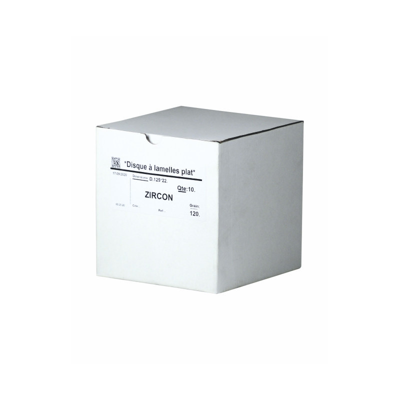 DISQUE A LAMELLE PLAT DLZ ZIRCON D.125X22 - Finitech